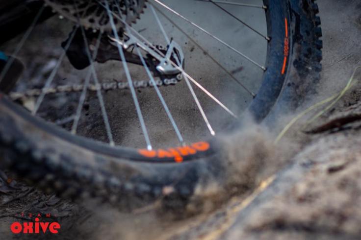 39207002_10155399828171193_990570430853021696_n